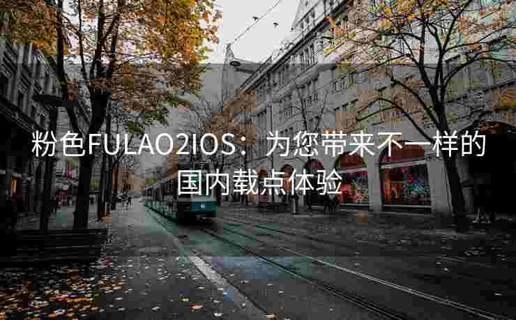 粉色FULAO2IOS：为您带来不一样的国内载点体验